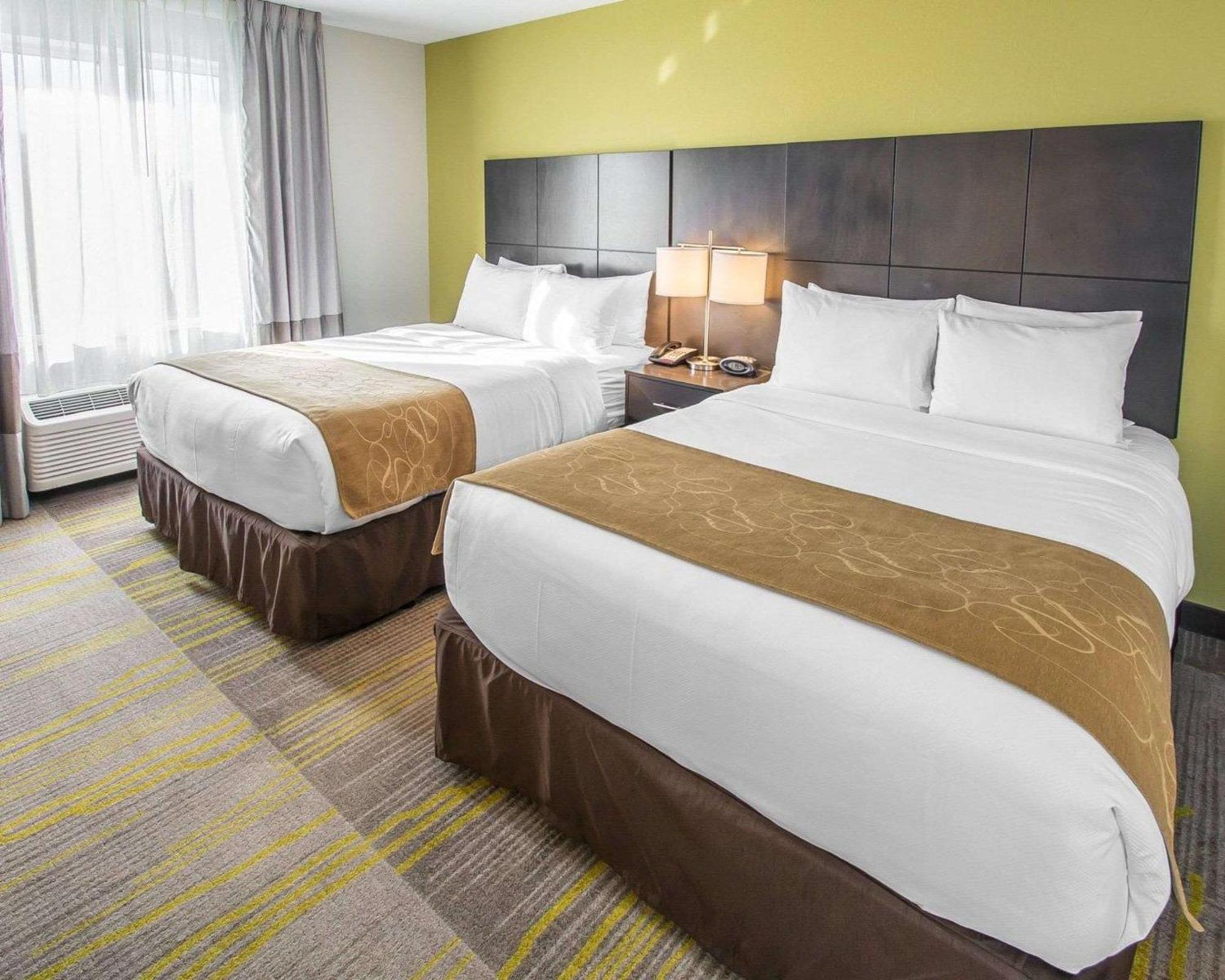 Suite con cama grande - Adaptada para personas con movilidad reducida - No fumadores